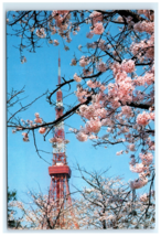 Tokyo Tower Cherry Blossoms Blooming Japan Postcard - $5.95
