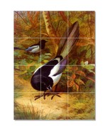 Archibald Thorburn Birds Painting Ceramic Tile Mural BTZ23203 - $120.00+