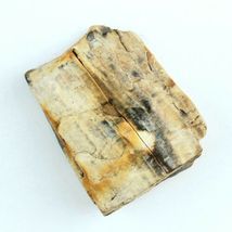 Petrified Wood 3.9 oz 2 3/4” x 2 3/8" x 5/8" Wooden Rock Stone Fossil image 5