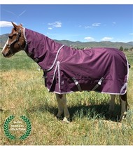 Jacks 4298-76 76 in. Boreas Purple Turnout Blanket 1200 Denier with 350 ... - $170.13