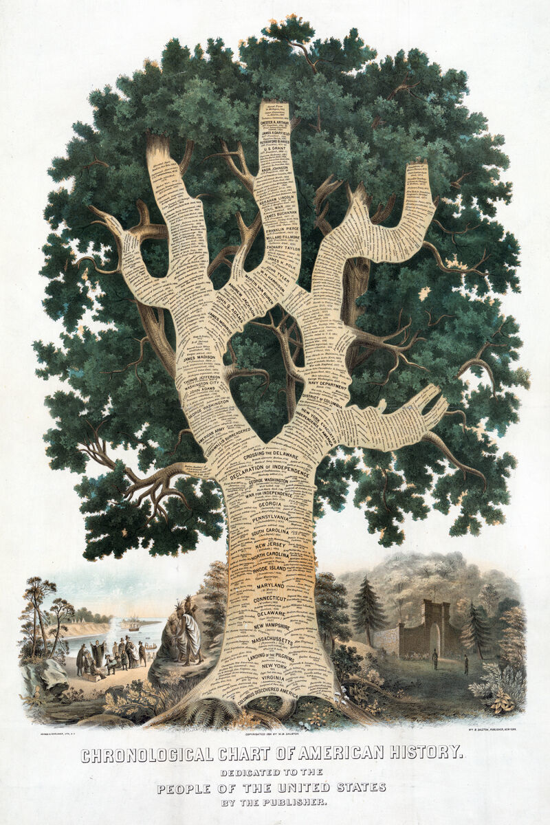 11x14"Decoration CANVAS.Interior design art.United States History tree.U.S.6288 - £26.11 GBP
