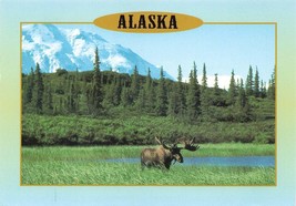 Postcard Alaska Bull Moose And Denali National Park UP F7 - £2.24 GBP