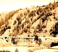 Sepia RPPC Bridge on Old Oregon Trail in the Blue Mountains Oregon OR Postcard - £7.65 GBP