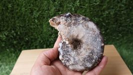 Item image 10