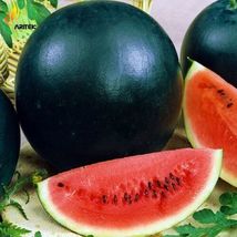 Black Diamond Watermelon Seeds | NON-GMO | Fresh Garden 25 Seeds - £5.92 GBP