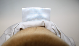 Item image 12
