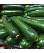 MX Zucchini Seeds Dark Green Heirloom Non GMO Organic High Yield Bulk Seed - $184.42 MXN
