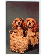 Cocker Spaniel Puppy Dogs Wicker Basket Postcard Chrome Greetings From I... - $13.00