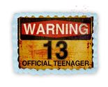 Warning, Real Teenager 13 year Old Themed Edible Image Birthday Cake Top... - $17.47