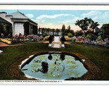 Lily Pond in George Eastman Gardens Rochester New York  NY UNP WB Postca... - $2.92