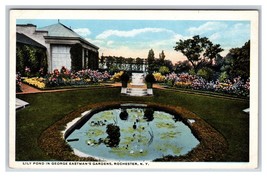 Lily Pond in George Eastman Gardens Rochester New York  NY UNP WB Postcard H22 - £2.28 GBP
