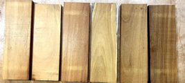 6 Pieces Kiln Dried Argentine Osage Orange Cutting Board Wood ~12&quot; X 4&quot; X 3/4&quot; F - £31.34 GBP