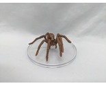 Dungeons And Dragons Icons Giant Wolf Spider Miniature 15/15 - $8.90