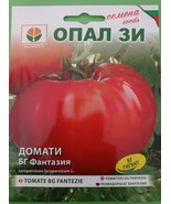 “Bulgarian Fantasy” Tomato Seeds (0.20g) – Unique Flavour for Your Garden!  - $11.90