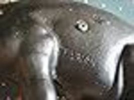 Item image 15