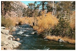 Rush Creek between Silver &amp; Grant Lakes Mono County High Sierra Postcard - £4.05 GBP
