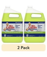 (2 pack) Mr. Clean Professional All Purpose Floor Cleaner, 1 Gallon - $39.59