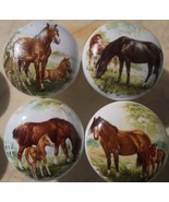 Ceramic Cabinet Knobs W/ Horses Palamino Draft Quarter (4) - €15,37 EUR
