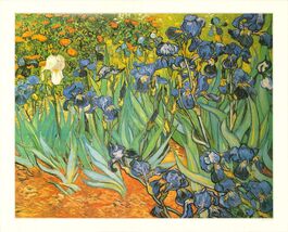 VINCENT VAN GOGH Irises 27.25" x 33.5" Offset Lithograph Impressionism - $65.34