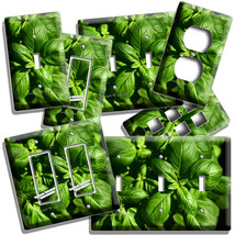 Sweet Fresh Basil Green Herb Light Switch Outlet Wall Plates Home Kitchen Decor - £9.90 GBP+