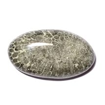 30.39 Carats TCW 100% Natural Beautiful Black Fossil Coral Oval Cabochon Gem by  - £10.83 GBP