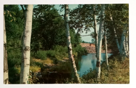 Stream Trees Concord New Hampshire NH Tichnor Bros Lusterchrome Postcard c1950s - £3.13 GBP