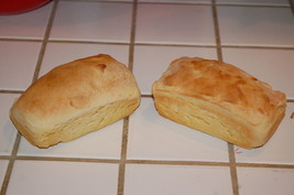 * Gluten Free Z0URDOUGH Bread Starter San Francisco (Sam My) Plus Recipes - £7.06 GBP
