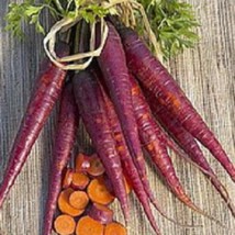 USA Seller Carrot Seeds 100 Thru 2500 Purple Cosmic Carrot Seeds Purple Carrot S - £11.54 GBP