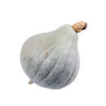 25+ Baby Blue Hubbard Squash Seeds - £6.96 GBP