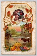Thanksgiving Greetings Turkey Cow Wading In Water Picturesque Scene Postcard K28 - £5.49 GBP