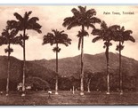 Palm Trees Trinidad BWI UNP Davidson &amp; Todd DB Postcard P18 - £7.02 GBP