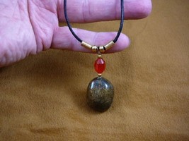 (PP11-3) Real MOOSE POOP doo doo with red glass + gold brass bead NECKLA... - $15.88