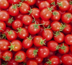 1000 Seeds Rio Fuego Tomato Heirloom Non-GMO Fresh Garden - £14.14 GBP
