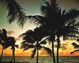 Palm Lined Beach at Sunset Florida FL 1973 Chrome Postcard - $3.91