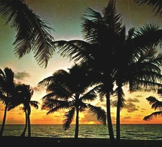 Palm Lined Beach at Sunset Florida FL 1973 Chrome Postcard - £3.07 GBP