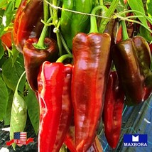 Pepper Seeds Sweet Corno Di Toro Rosso Vegetable Heirloom Non Gmo Home Garden - £5.70 GBP