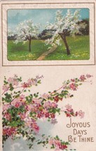 Joyous Days Be Thine 1911 Maryville MO to Nevada Postcard A30 - £2.34 GBP