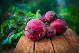 1200+ Detroit Dark Red Beet Seeds Non Gmo Harvest Garden Fresh - £14.05 GBP