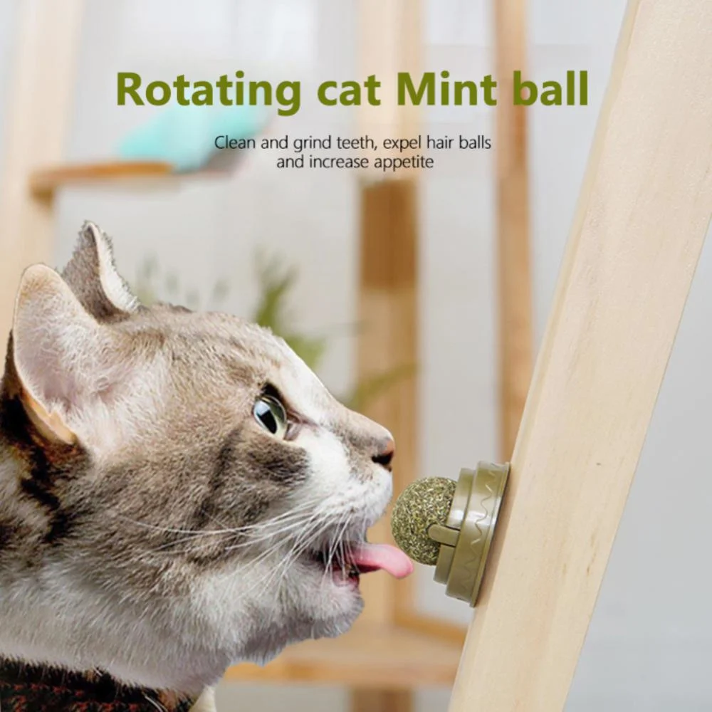 House Home Catnip Cat Wall Stick-on Ball Natural Mint Promote Digestion Cat GrA  - £19.71 GBP