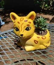 Yellow Cat Planter with Haworthia Succulent, 4" glazed ceramic, leopard jaguar