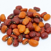 Fast Ship USA Seller Iron And Clay Southern Cowpea 50 Seeds Civil War Era Variet - £13.41 GBP