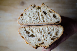 sourdough bread starter yeast from san francisco wharf recipes included @21 - £6.98 GBP