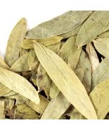 Wholesale!! Senna Leaf Dried Whole-4 oz, 1,2,5 lbs - $10.87 CAD+