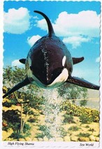 California Postcard San Diego High Flying Shamu Sea World - £2.35 GBP