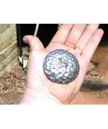 25 Iron Hammered Clavos Decorative Nail s Heads Door Furniture Craft 2 i... - $64.98