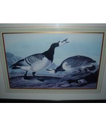 Audubon II Print 27&quot; x 36&quot; Framed - $445.50