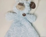 Demdaco Security Lovie Blake Bear Swirl Rattle Blanket 2019 Plush Baby B... - £13.36 GBP