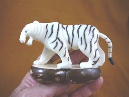 (TNE-TIG-239-A) large White Bengal TIGER TAGUA NUT Figurine carving love... - £61.26 GBP