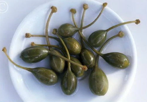 Item image 1 image 1