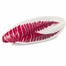Ship From Us Endive Red Treviso Vegetable Seeds ~8 Oz-MICROGREENS, Heirloom TM11 - £49.69 GBP